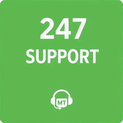 24/7 Support
